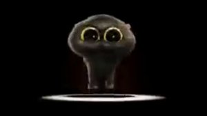 танцующий кот