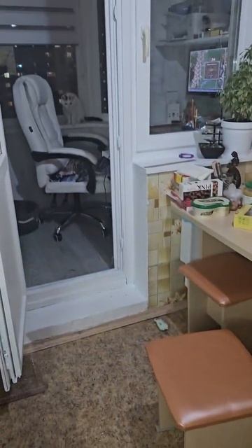 Сливка дома 4 смотреть онлайн