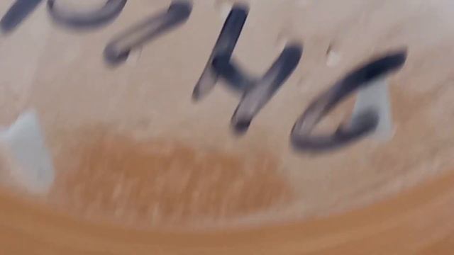 мошки на хатніх рослинах смотреть онлайн