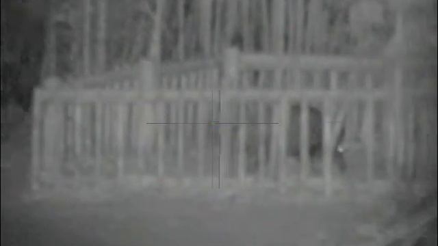 Pulsar Digisight N355 Ultra