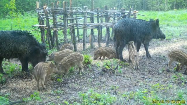Кому зерно, кому молоко… смотреть онлайн