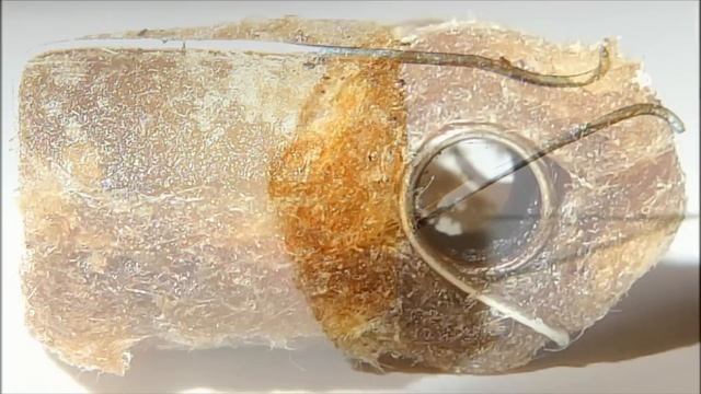 Nautilus BVC head breakdown - part 2 (Warning - Coil Gore!!) смотреть онлайн