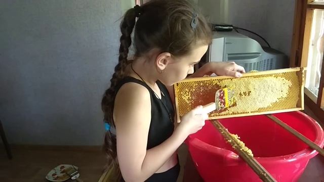 Мелитопольские пчеловоди кампании" Пчелки воски".результати сезона 2020года. смотреть онлайн
