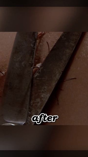 Scientist's Experiment Gone Wrong: Birth of a 'Fly-Man'! #flim #horrorstories #movie смотреть онлайн