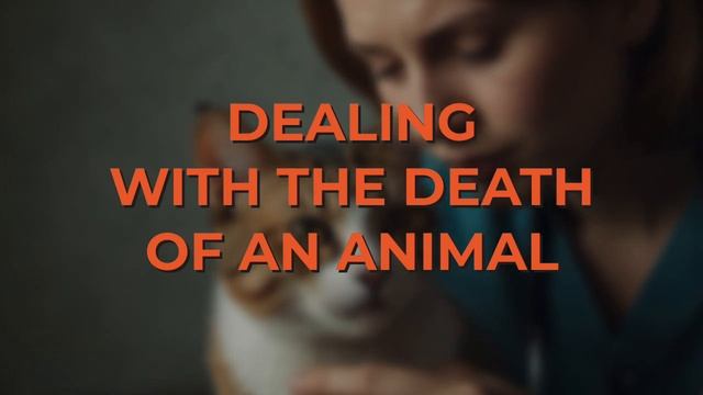 A Day In The Life Of A Pet Vet • Inside Look смотреть онлайн