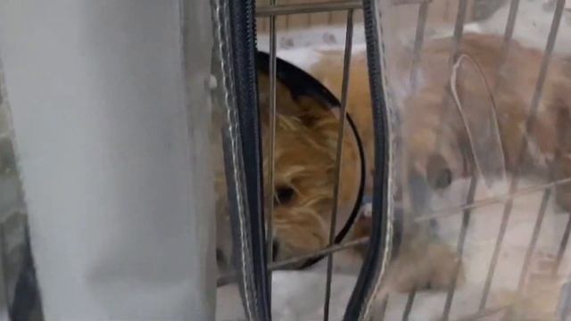 Неожиданная беда с малышом смотреть онлайн