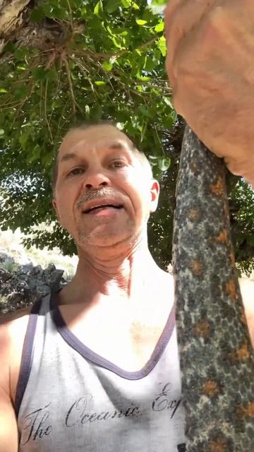 Поймал гюрзу! Адреналин из ушей! смотреть онлайн