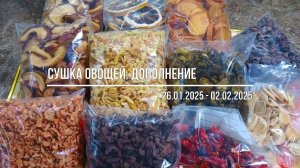 Сушка овощей. Дополнение (02.02.2025)