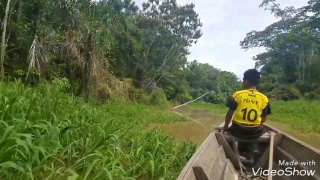 Amazon River Pebas Loreto Peru Amazona смотреть онлайн