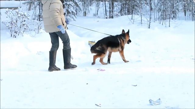 Карат из Кемерграда смотреть онлайн