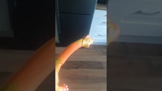 ultimate dinosaur championship round1 battle 16 giraffeatitan vs dinogorgon смотреть онлайн