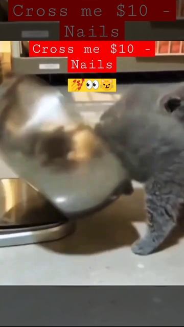 Cross me ten ( NAILS😾🙀😲😲 #catnails #youtubeshorts #ytshorts смотреть онлайн