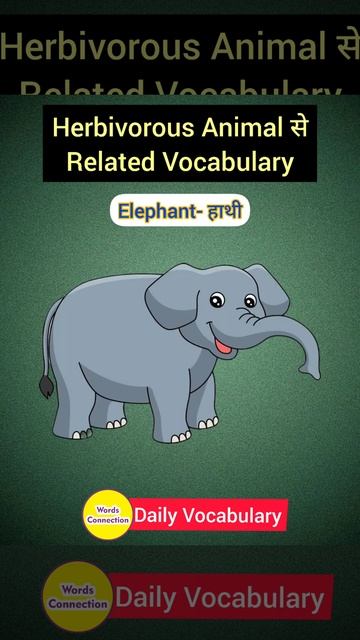 Herbivorous Animal से Related Vocabulary | #shorts #short #vocabulary смотреть онлайн