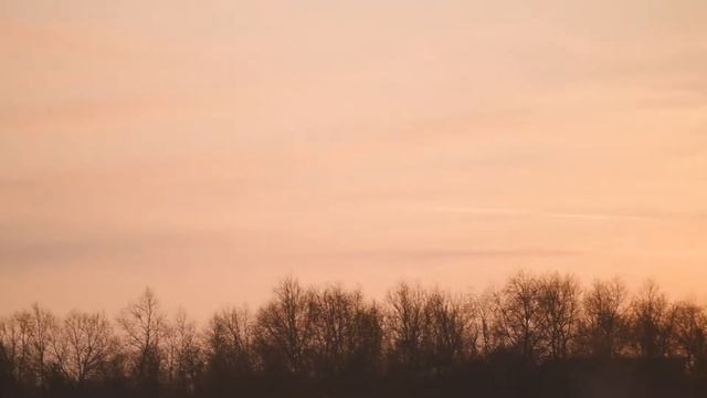 Это тебе смотреть онлайн