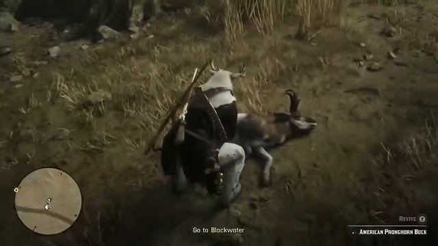 Rdr2 Online:Legendary Milk Coyote смотреть онлайн