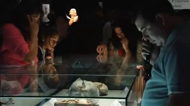 Body Worlds | OneTag - Io c'ero! смотреть онлайн