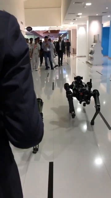 Хорошие роботы! #idex2023 #маратсутаев #абудаги смотреть онлайн