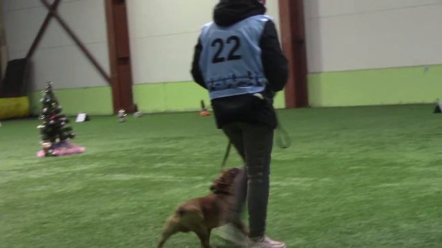 Пантелеева александра и Яков РО1 ралли обиденс Кубок 2020 27.12.20 1 трасса смотреть онлайн