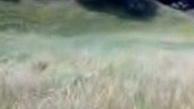 Долго думал.3gp смотреть онлайн