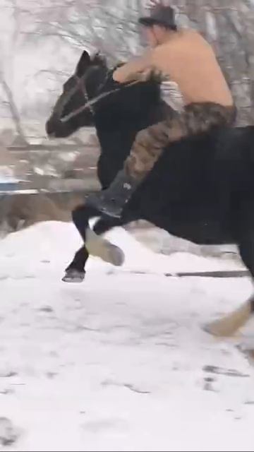 цыган смотреть онлайн