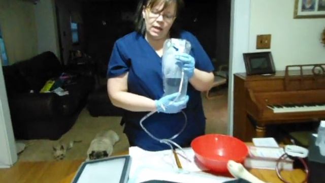 rectal suppository administration and enema administration смотреть онлайн