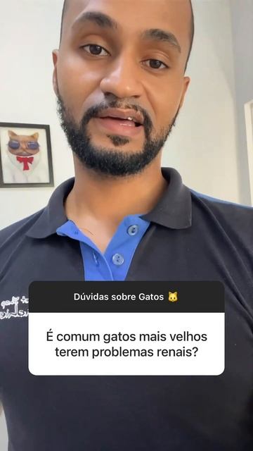 Doença Renal em Gatos смотреть онлайн