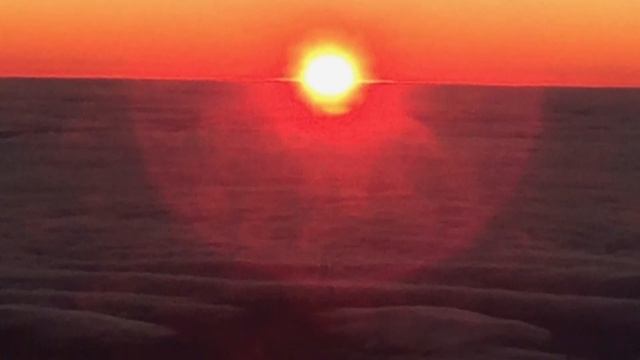 Indigo Harp - Aurora смотреть онлайн