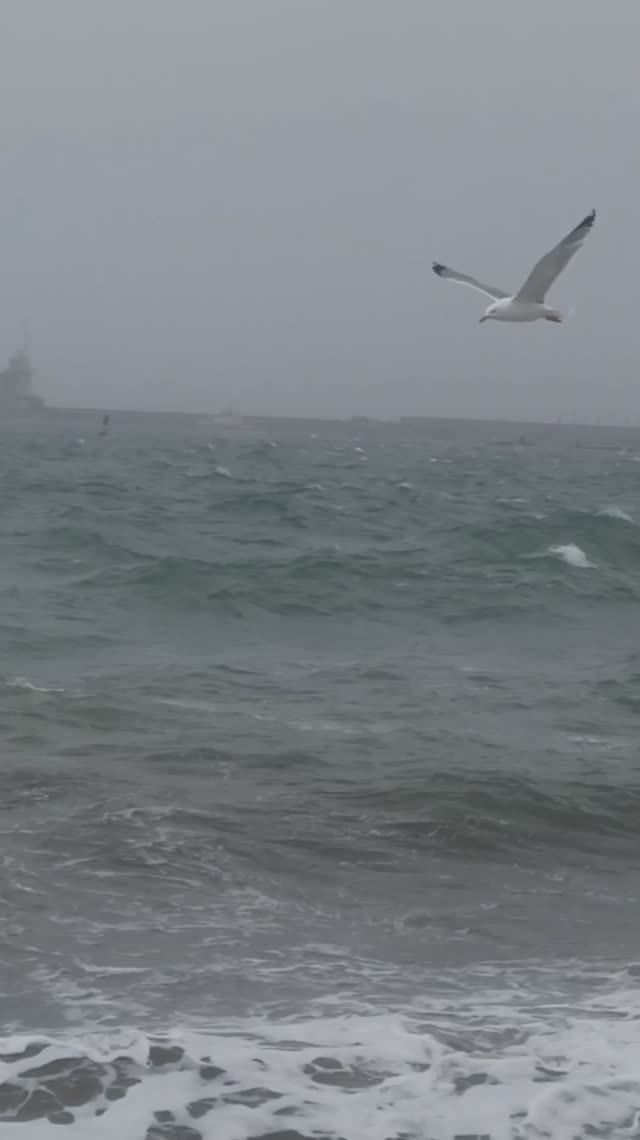 Крым, Феодосия: шикарный шторм на море смотреть онлайн