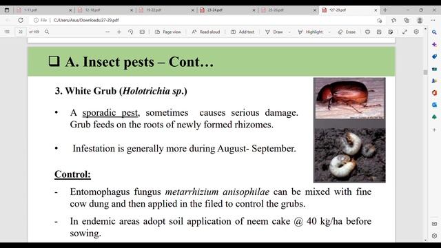 INSECTS PESTS OF GINGER | STUDY MATERIAL CREDIT: Dr. Kumar Lama | KU Bsc Ag | 3rd sem смотреть онлайн