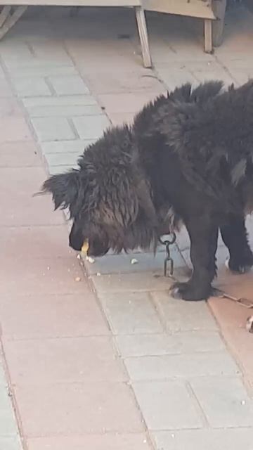 Мне нужно мясо смотреть онлайн