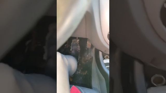 Alena Stuck In Mud In High Heels Live Video // Mud Heels Stuck Revving
