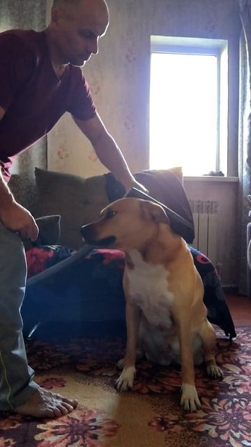 уникальное средство от блох,перхоти и выпадения волос смотреть онлайн