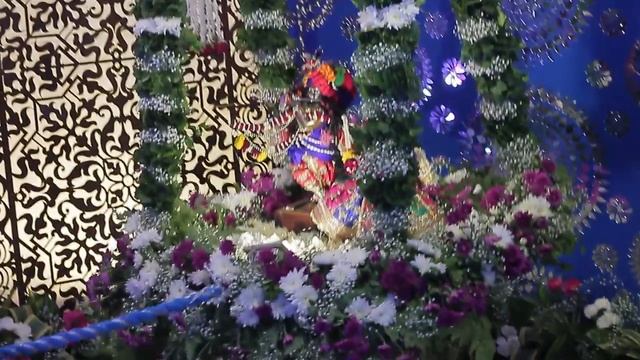 Jhulan Yatra Day 5 смотреть онлайн