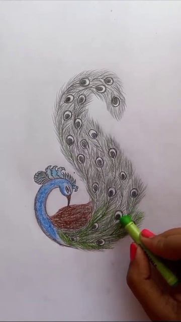 Beautiful peacock color video || peacock смотреть онлайн