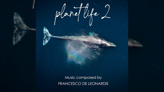 Mother and Calf смотреть онлайн