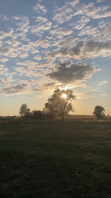 #nature #russia #природа смотреть онлайн