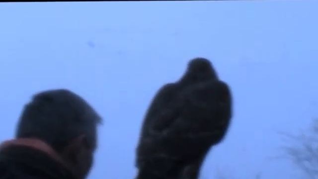 Falconeria Alla Massari Con MIrco Costa E Roberto Are