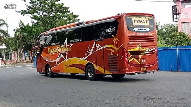 Foto Bus Sugeng Rahayu, Sumber Selamat, Eka, Mira | Spot Tikungan Balap Terminal Kertonegoro Ngawi смотреть онлайн
