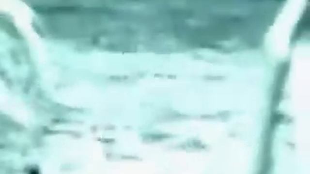 youtube.YouTube_-_sagwan_1.flv смотреть онлайн