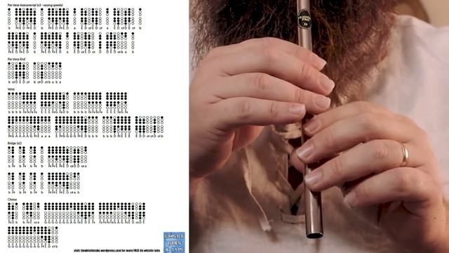 Fiesta Pagana - Mago de Oz Tin Whistle Tutorial com @CutiepieTinWhistle смотреть онлайн
