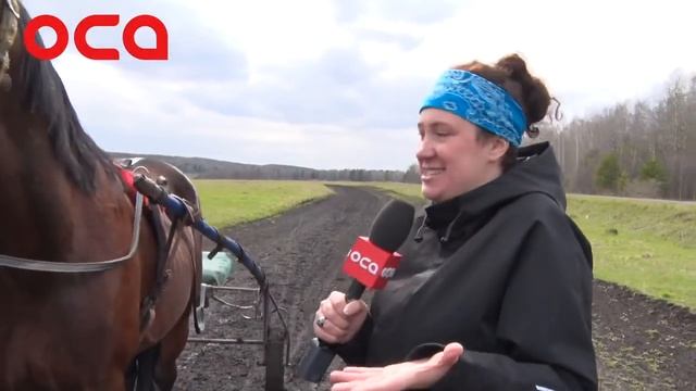 Новости телеканала "ОСА" 23.05.18 смотреть онлайн