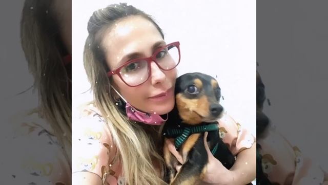 🐾❤️ Um Pouquinho Da Minha VET LIFE ❤️🐾 смотреть онлайн
