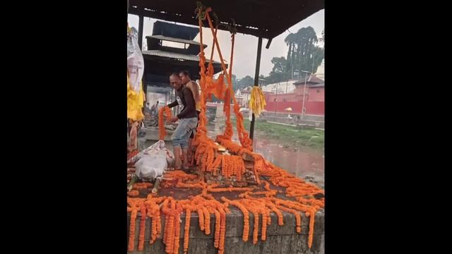 Tara Air ma dhurghatna bhayeka 10 bhanda badi lash Pashupati, Aareghat ma dhahashtkar gariyo смотреть онлайн