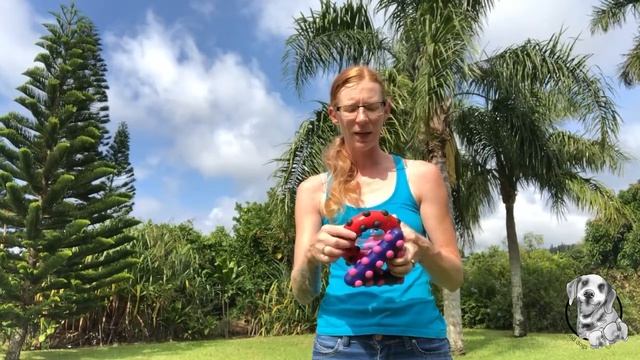 Kong Dotz Dog Toy: Product Review w/ Such Good Dogs. смотреть онлайн