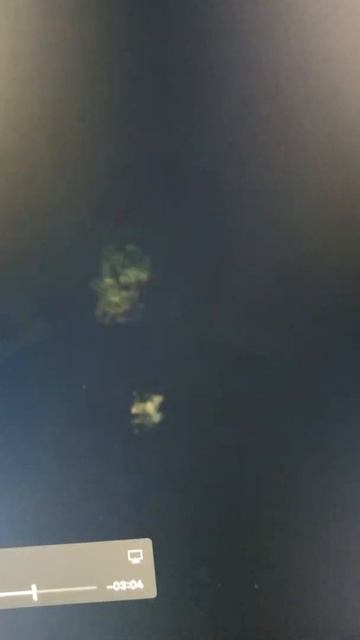 " SPACE CRITTER's PART 2 " HUNTING UFO'S смотреть онлайн