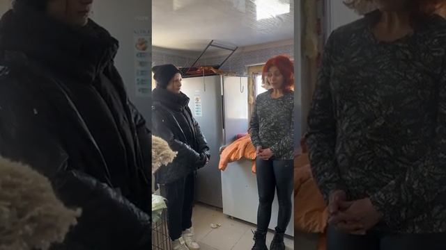 Тема:"Бродячие собаки", Номинация "экоблогер", Выполнила:Будник Мария. КГУ ОШ№2 г.Аксай смотреть онлайн