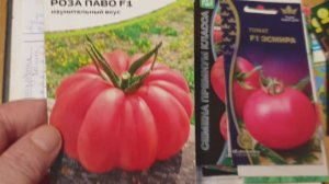 Обзор томатов выбранных 2025 г. новых сортов  для теплицы. Мой Топ- лучших томатов.