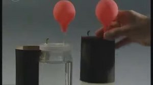 Корень.  Значение минеральных солей