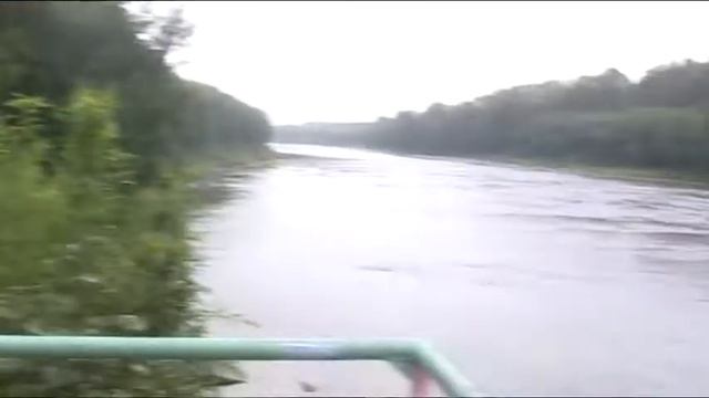 прожоорливые рыбки на СелиСАХ2011 смотреть онлайн