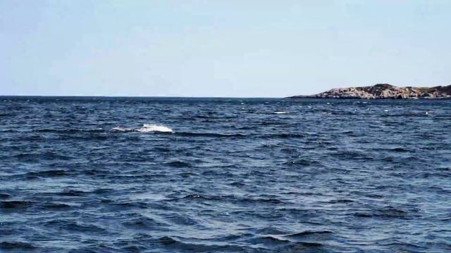 Минке в начале июля смотреть онлайн